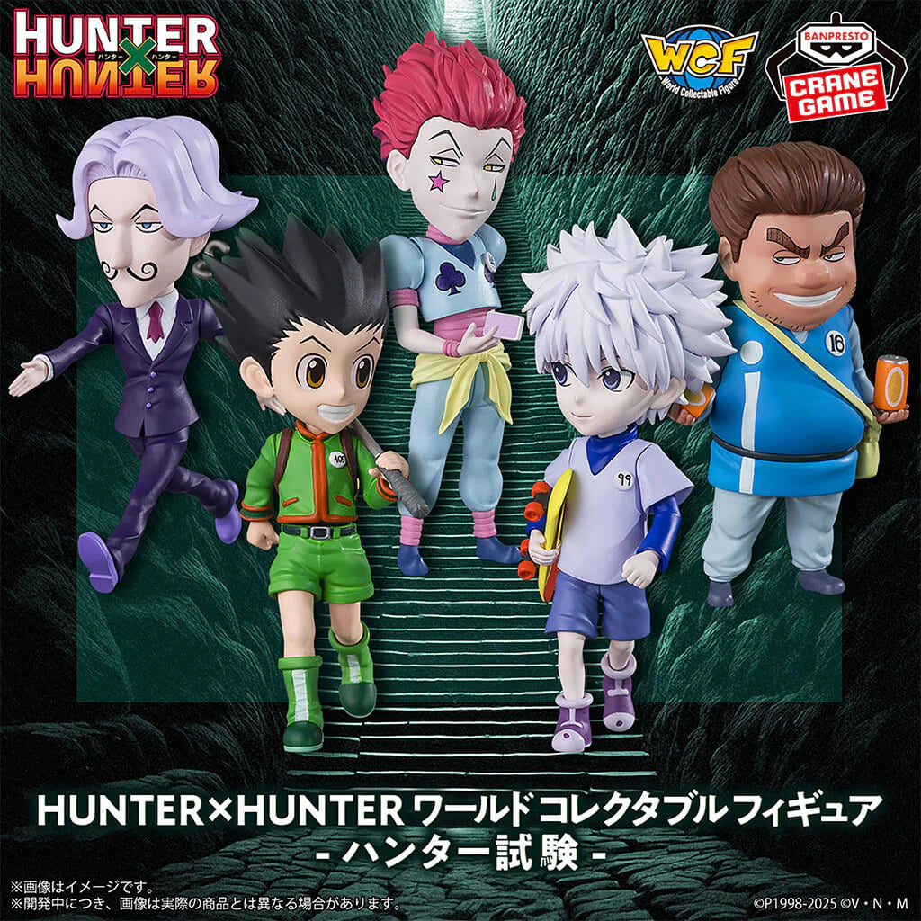 FIGURA HUNTER X HUNTER WCF EXAM