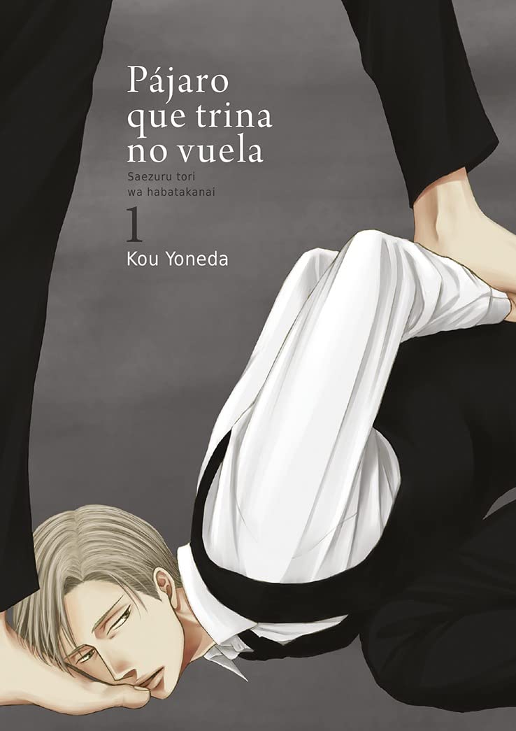PÁJARO QUE TRINA NO VUELA 1 - EDICIONES TOMODOMO