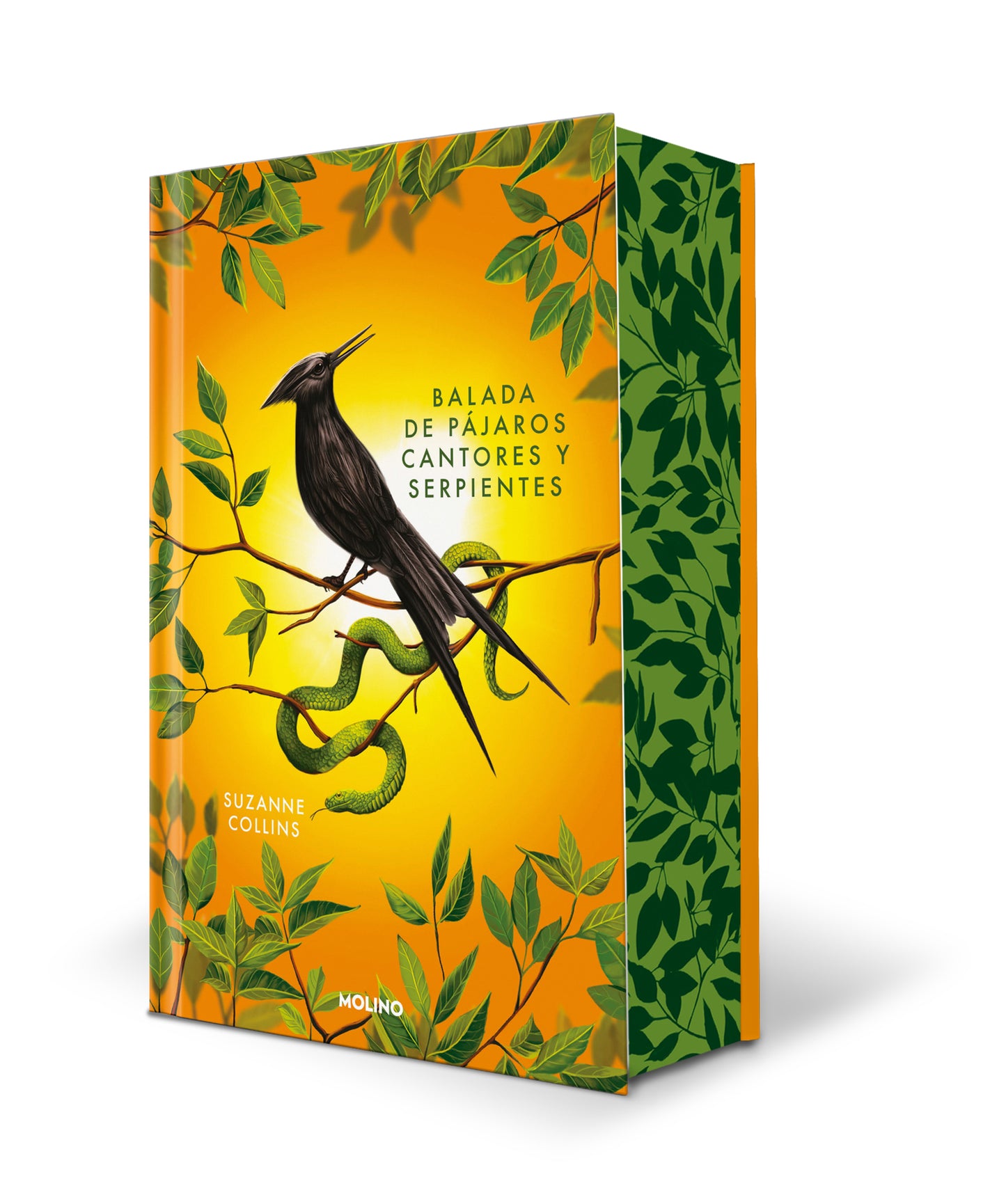 BALADA DE PÁJAROS CANTORES Y SERPIENTES - LOS JUEGOS DEL HAMBRE (EDICIÓN ESPECIAL) - SUZANNE COLLINS (MOLINO)