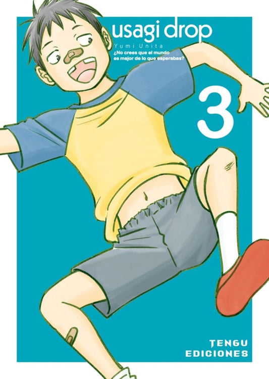 USAGI DROP 3 - TENGU EDICIONES