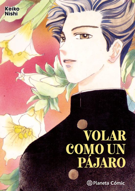 VOLAR COMO UN PÁJARO - PLANETA CÓMIC