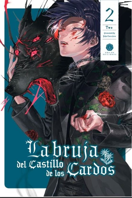 LA BRUJA DEL CASTILLO DE LOS CARDOS 2 - ODAIBA EDICIONES