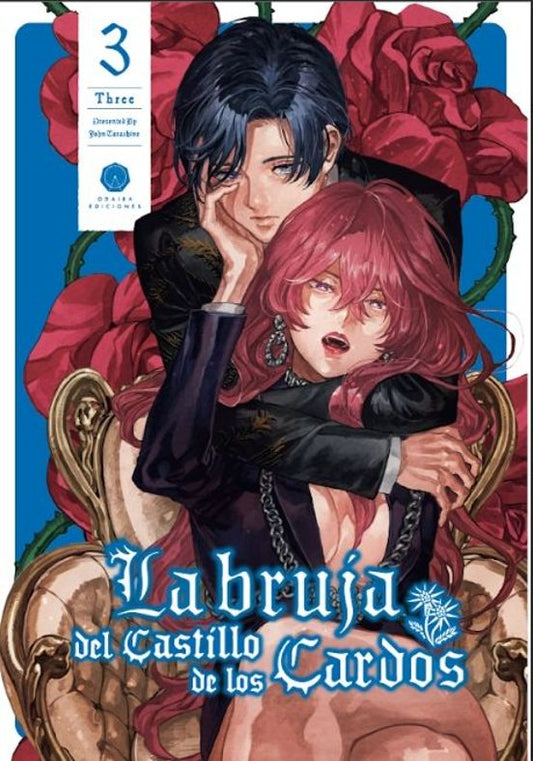 LA BRUJA DEL CASTILLO DE LOS CARDOS 3 - ODAIBA EDICIONES