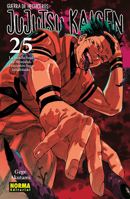 JUJUTSU KAISEN 25 - NORMA EDITORIAL