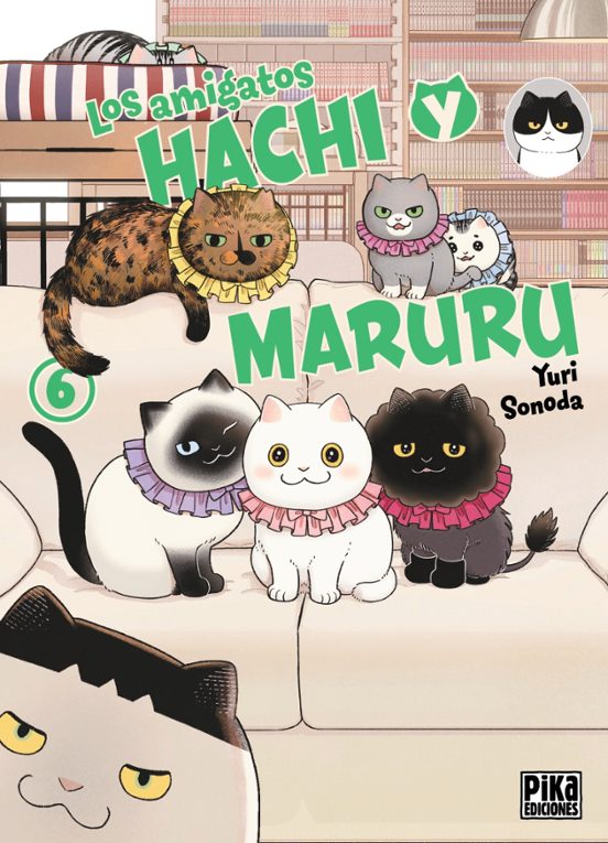 Los amigatos Hachi y Maruru 6 - Sonoda, Yuri (PIKA EDICIONES)