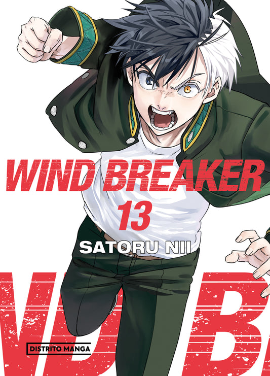 WIND BREAKER 13 - DISTRITO MANGA