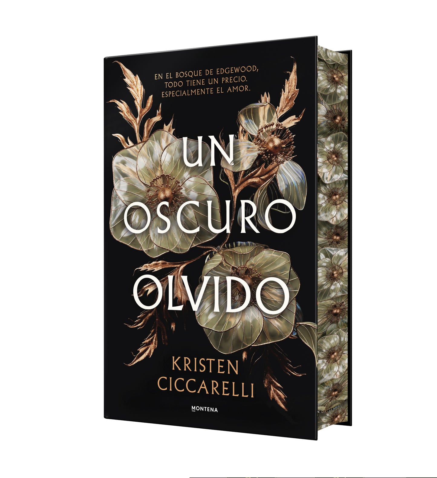 Un oscuro olvido - Kristen Ciccarelli (MONTENA)