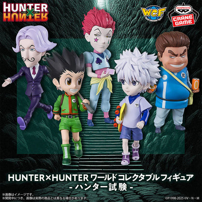 FIGURA HUNTER X HUNTER WCF EXAM