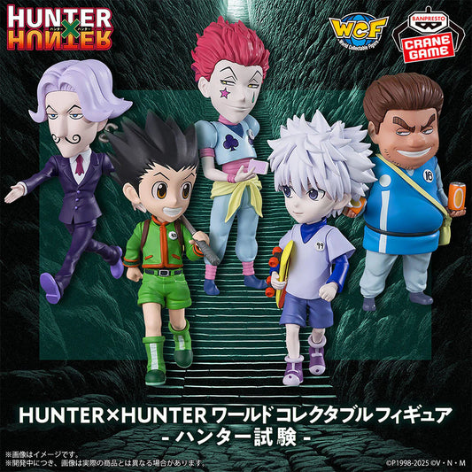 FIGURA HUNTER X HUNTER WCF EXAM
