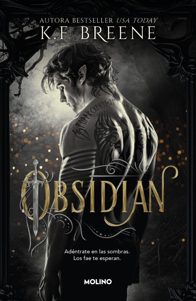 Obsidian (Los fae de las sombras 1) - BREENE, K.F. (MOLINO)