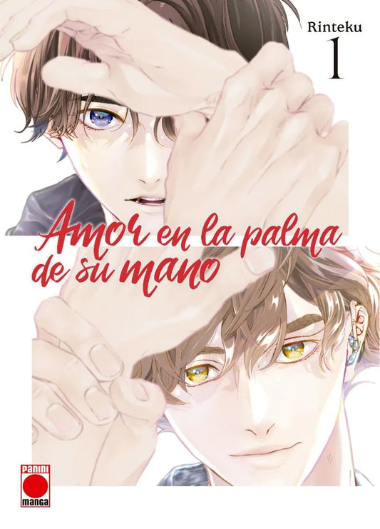 AMOR EN LA PALMA DE SU MANO 01 - PANINI