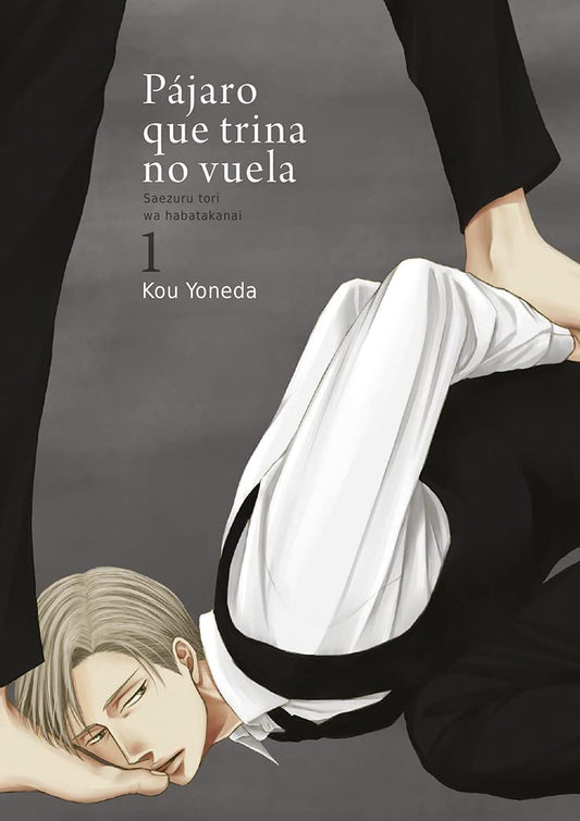 PÁJARO QUE TRINA NO VUELA 1 - EDICIONES TOMODOMO