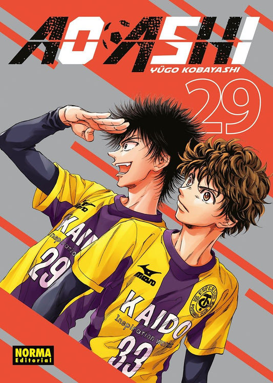 AO ASHI 29 - NORMA EDITORIAL