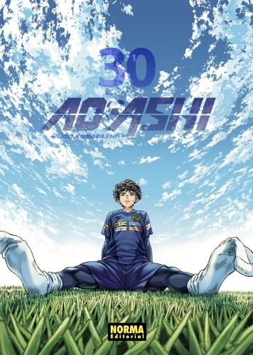 AO ASHI 30 - NORMA EDITORIAL