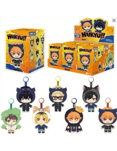 BLIND BOX haikyuu