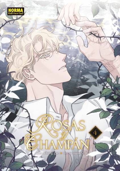 ROSAS Y CHAMPAN, VOL.4 - NORMA EDITORIAL